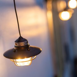 BAREBONES - Edison Lamp - bronze