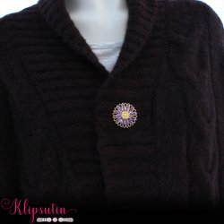 Klipsutin Aster-Guldblomst med lilla kronblade