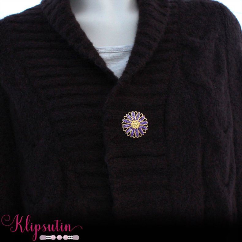 Klipsutin Aster-Guldblomst med lilla kronblade