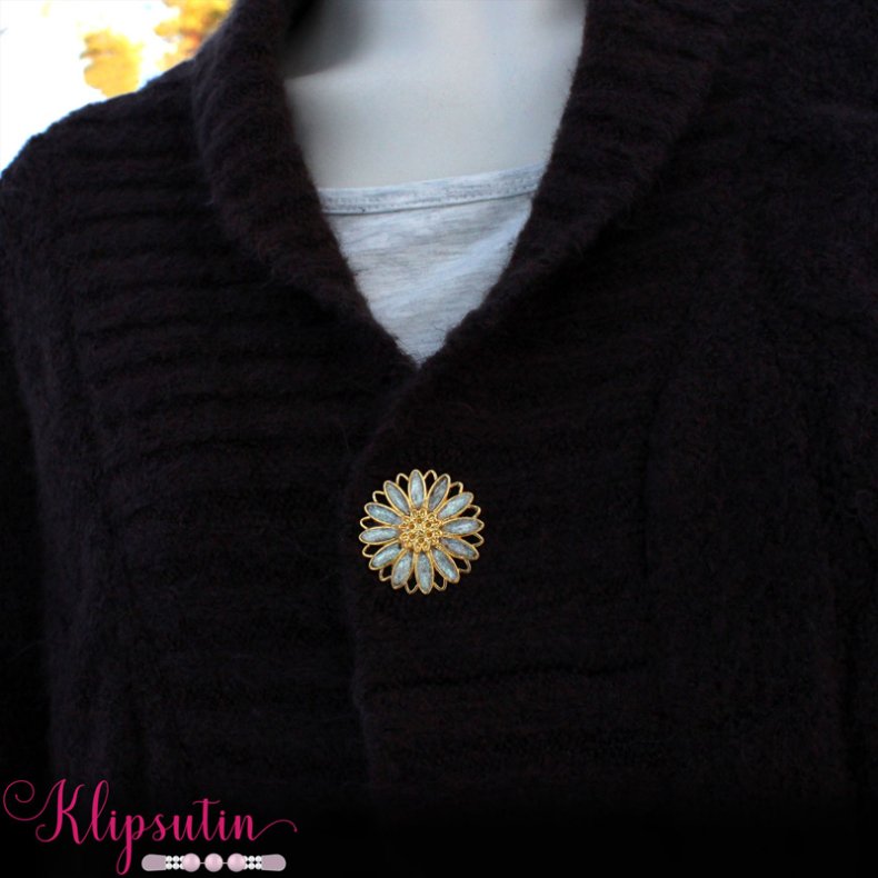 Klipsutin Aster - Goldene Blume mit weissen Bl�tenbl�ttern