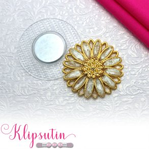 Klipsutin Aster - Goldene Blume mit weissen Bl�tenbl�ttern