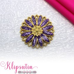 Klipsutin Aster-Guldblomst med lilla kronblade