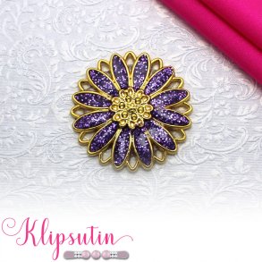 Klipsutin Aster-Guldblomst med lilla kronblade