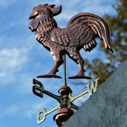 Weather vane tap 49x22 cm  