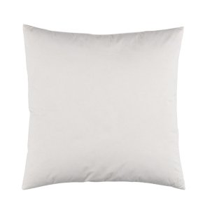 Queen Anne cushion - 50x50 - feathers