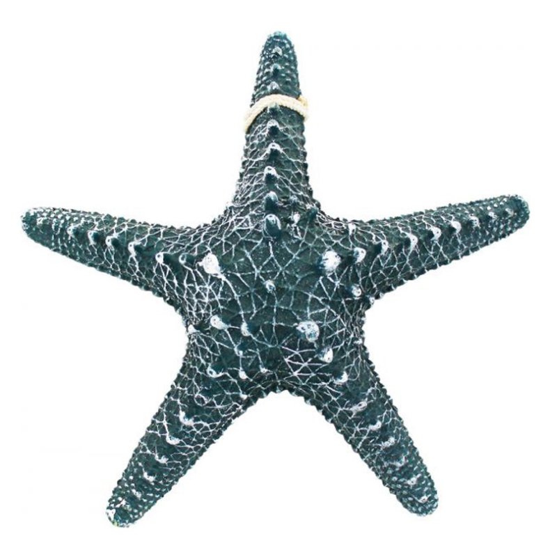 Star blue - 30 x 30 x 8 cm  
