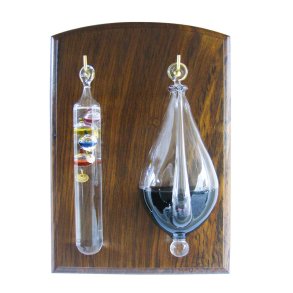 Galilei- och V�derglas - Glas och sheesham-tr�