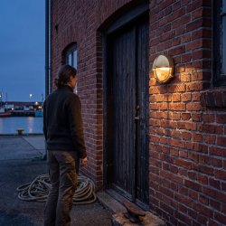 BULKHEAD LAMP round  - 20 cm - IP54 Brass