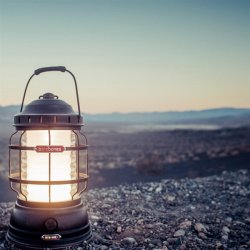 BAREBONES - forest lmp 325 Schwarz/bronze