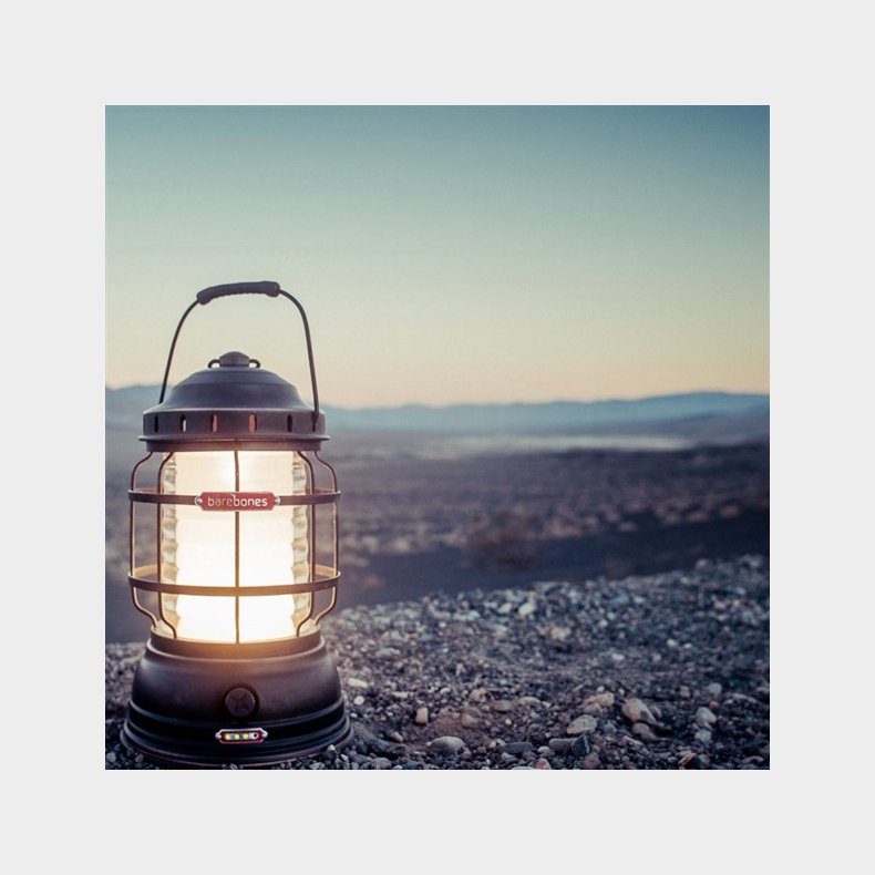 BAREBONES - forest lmp 325 Schwarz/bronze