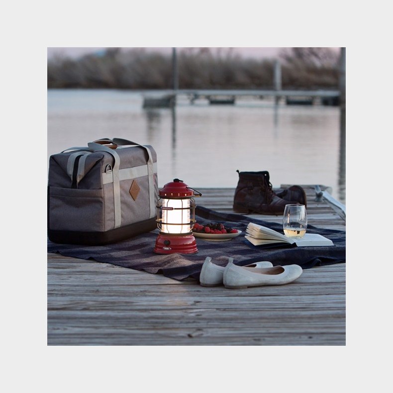 BAREBONES - forest lmp 325 Schwarz/bronze