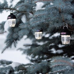 BAREBONES - Beacon Light 220 - Swarz/Bronze