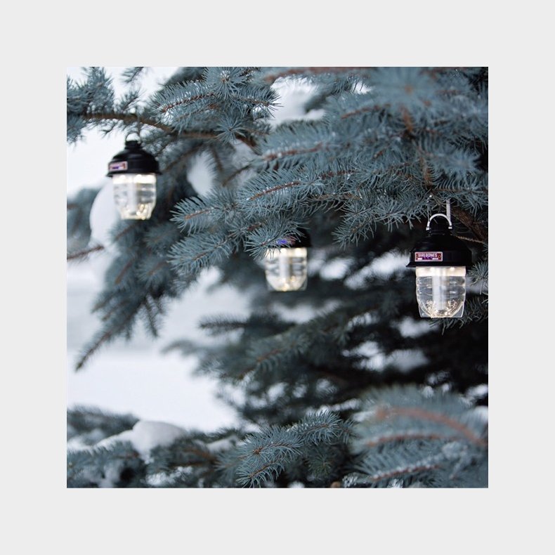 BAREBONES - Beacon Light 220 - Swarz/Bronze